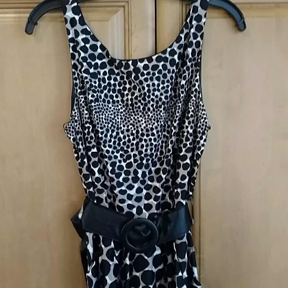 NWOT Leopard Print Belted Dress